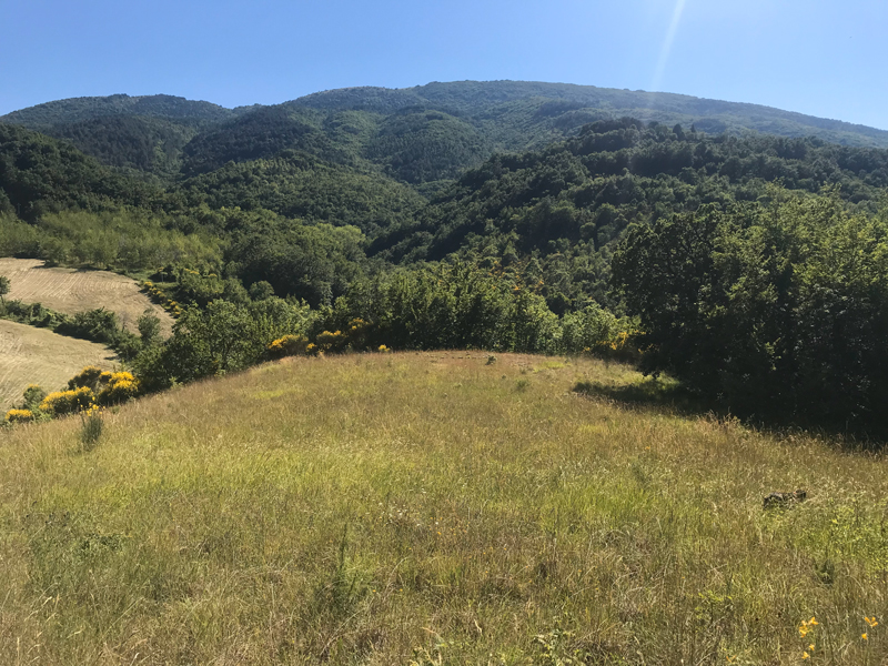 Monte Subasio